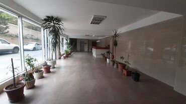 Uzunmüddətli kirayə mənzillər: Xətai rayonu Xətai metrosunun yaxınlığında,(neftçilər metrosunun yanı) -da lalafo.az — 13 Uzunmüddətli kirayə mənzillər: Xətai rayonu Xətai metrosunun yaxınlığında,(neftçilər metrosunun yanı) — 13