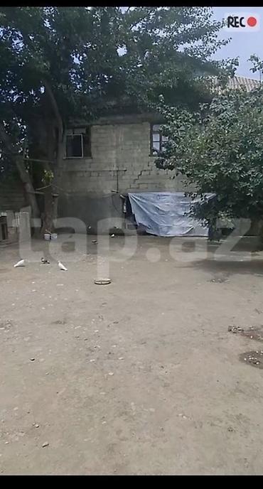 2 otaqli evler yeni tikili: 4 otaqlı, 160 kv. m — 2