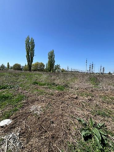 Продажа коттеджей и домов: Срочно продается дом с участком 35 соток ( по факту 45 соток) в селе — 6