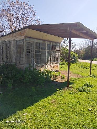 киоск: Metall konstruksiyalı köşk/konteyner tipli kiçik pavilon - Material — 3