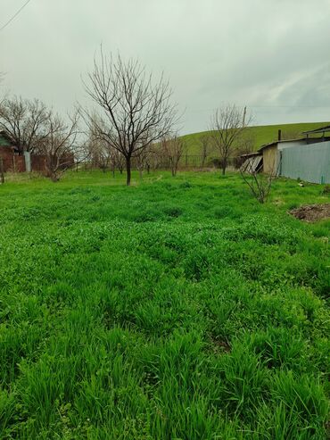 село ждал: 6 соток, Красная книга