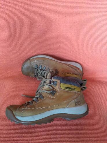 Gležnjače: Gležnjače, 38.5 na lalafo.rs — 9 Gležnjače: Gležnjače, 38.5 — 9