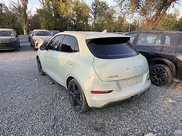 charge fast инвестиции: Great Wall : 2024 г., Автомат, Электромобиль — 2
