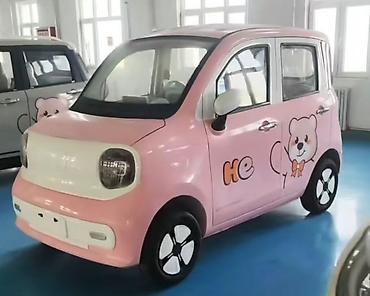 Microcar: Microcar : 2026 г., Электромобиль, Минивэн — 13