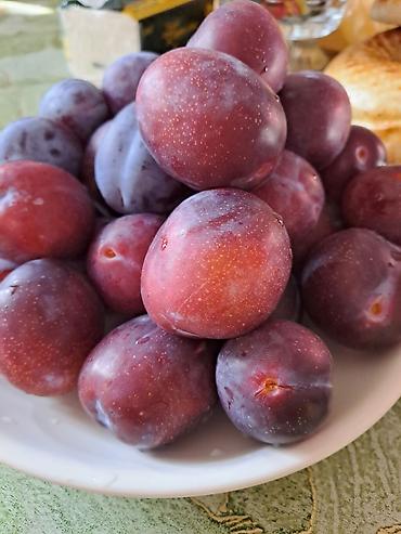 Смородина: Смородина — 3