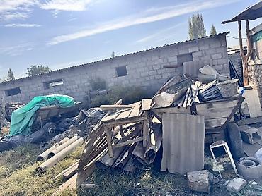 ххх з животними: Ослы (несколько голов) Описание: - Домашние ослы, серые и тёмные — 2