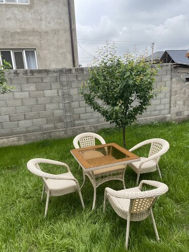 куплю стол и стулья: Комплект садовой мебели, Стол, Ротанг