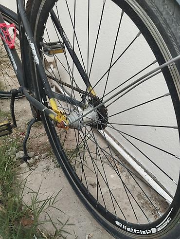 Şəhər və gündəlik sürüşlər üçün tək sürətli velosiped. Xüsusiyyətlər