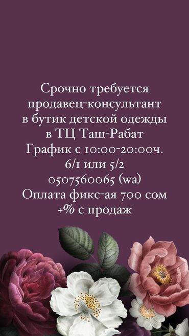 работа продовец консультант: Сатуучу консультант. Таш-Рабат СБ