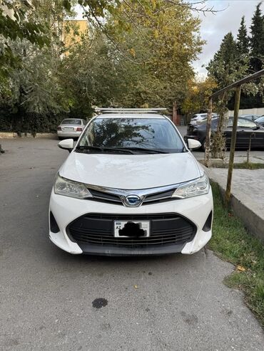 турбо аз подержанные автомобили таеота приюс аренд: Toyota Corolla Fielder Hybrid – ağ rəngli universaldır