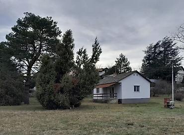 Kupujem kuću: Vikendica u Vincima pored Dunava sa velikim placem i uređenim — 5