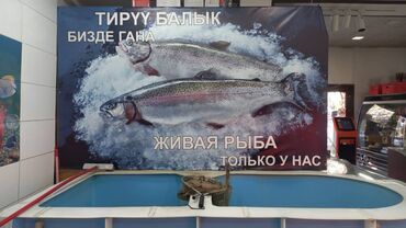 Печать: Широкоформатная печать, Высокоточная печать, | Баннеры — 5