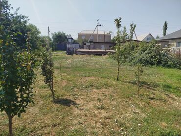 земельный участок дордой: 8 соток, Курулуш, Кызыл китеп