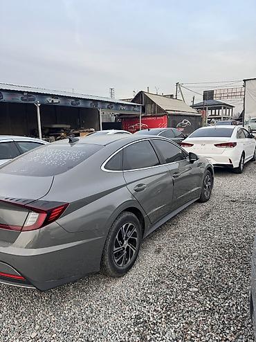 Hyundai: Hyundai Sonata: 2020 г., 2 л, Газ, Седан — 4