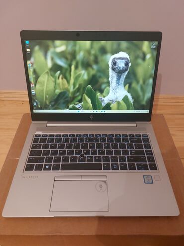 notebook 4 ram: İşlənmiş HP EliteBook, 14 ", Intel Core i5, 256 GB