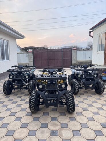 Квадроциклы: Квадроцикл Бензин, 250 куб. см, Взрослый — 1