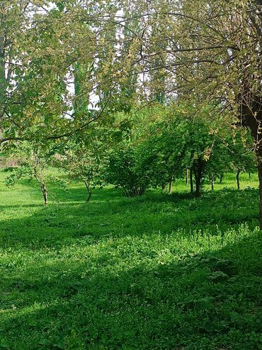 Torpaq sahələrinin satışı: 6 sot, Mülkiyyətçi, Bələdiyyə