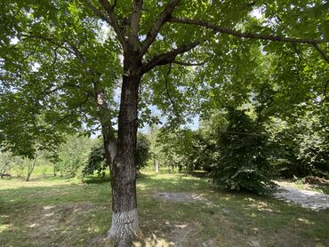 Torpaq sahələrinin satışı: Tikinti — 28