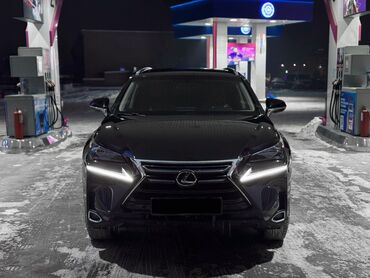 Lexus: Lexus NX: 2016 г., 2 л, Автомат, Бензин, Кроссовер — 2