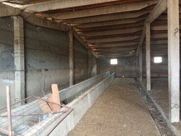 Продажа участков: 120 соток, Для сельского хозяйства, Красная книга — 3