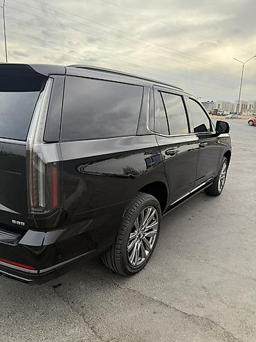 Продажа авто: Cadillac Escalade: 2025 г., 6 л, Автомат, Бензин, Внедорожник — 6
