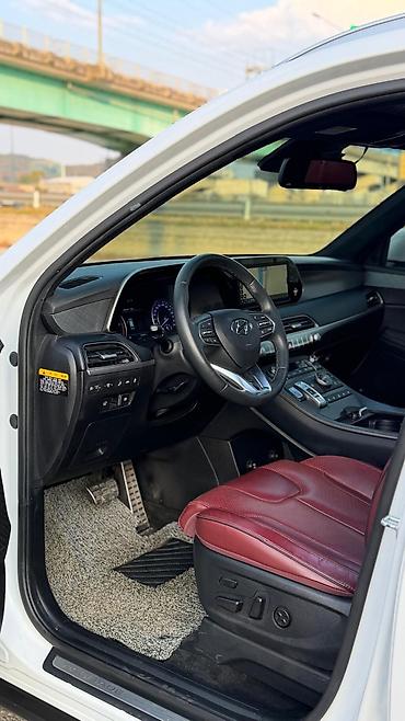 Hyundai: Hyundai Palisade: 2020 г., Кроссовер — 11