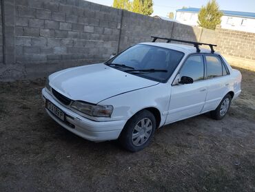 ипсум 1996: Toyota Corolla: 1996 г., 1.8 л, Автомат, Бензин, Седан