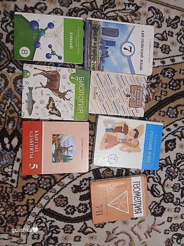 информатика книга: Набор школьных учебников (разные предметы, 5–11 классы): - Химия, 8 — 1