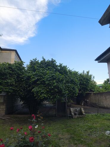 Torpaq sahələrinin satışı: 6 sot, Mülkiyyətçi, Kupça (Çıxarış) — 8