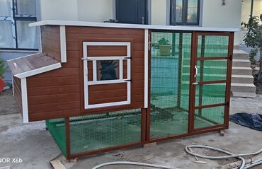 Yuvalar: Tuyuq yuvası Hin sifarişlə hazırlanması istənilən ölçüdə tam — 10