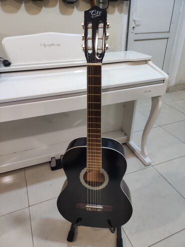 gitara satisi: Klassik gitara, İşlənmiş, Rayonlara çatdırılma