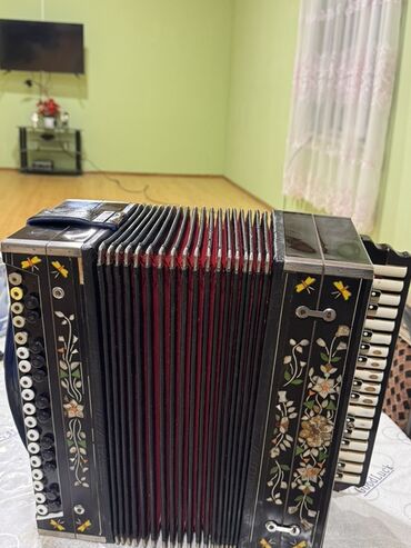 deyer riyaziyyat kitabi: Akustik Akkordeon