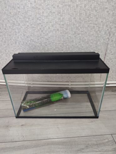 сколько стоит аквариум: Akvarium yeni 60/40/30. 70 azn almisam ehtiyac olmadi qiymetde