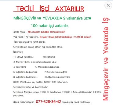 isci axtarilir: Bağban tələb olunur, Təcrübəsiz, 1/1, Tam iş günü