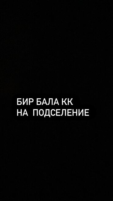 Долгосрочная аренда квартир: 2 комнаты, Собственник, С подселением, С мебелью частично