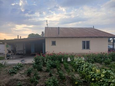 дача береке: Имеется сарай. сад