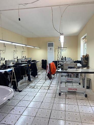 Продажа коттеджей и домов: ‼️Продается Дом с действующим Бизнесом в перспективном районе — 14