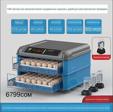 Оборудование для производства: Инкубаторы с двойным электроприводом и полностью автоматическим — 9