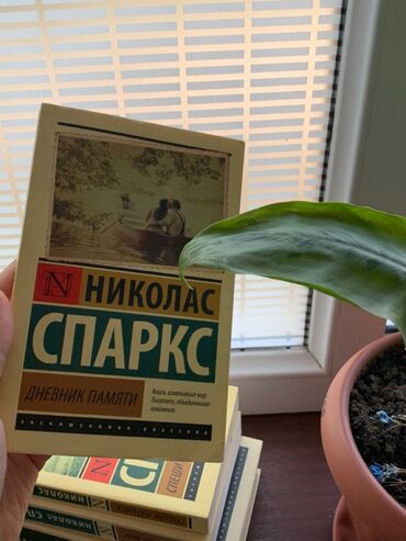кыргыз тил китеп: Книга дневник памяти роман