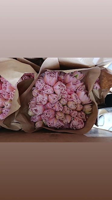 Букеты из живых цветов: Тюльпаны с тепличной выгонки — оптом и для флористов. - Ассортимент — 16