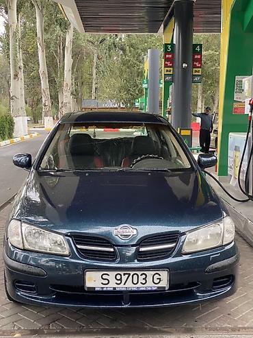 тико унаа: Nissan Almera: 2000 г., 2.2 л, Механика, Дизель, Хэтчбэк — 1