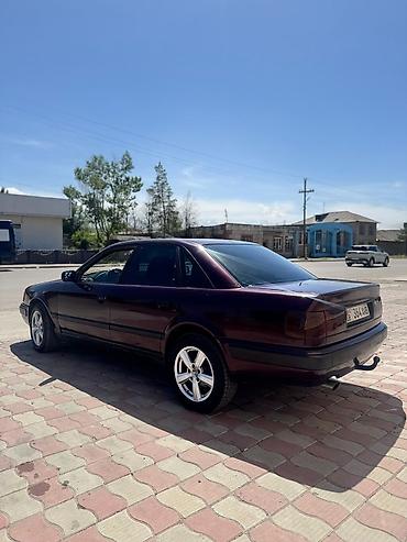 Audi: Audi 100: 1992 г., Седан — 7