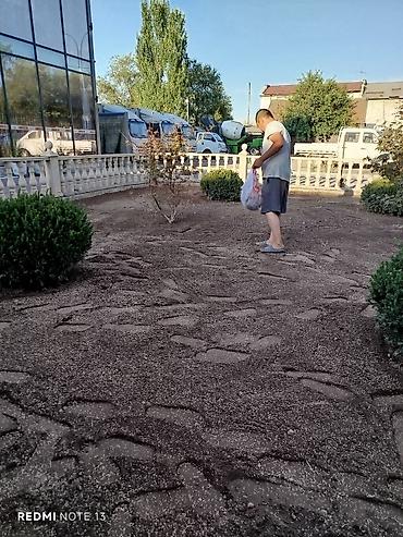 Газон: Сеем газон, Поссев газон, Газон себебиз 🌱 под ключ 🏡по городу бишкек — 6