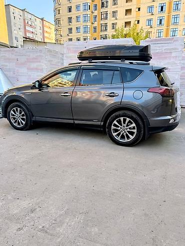 Toyota: Toyota RAV4: 2017 г., 2.5 л — 4