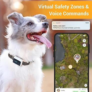 Oprema za kućne ljubimce: Pawfit 3 GPS tracker za pse - Praćenje lokacije u realnom vremenu — 2