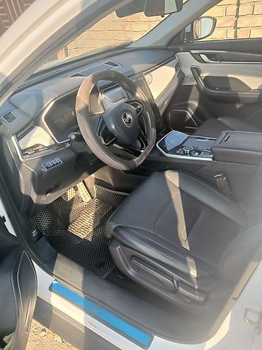hongqi ehs9: Weltmeister EX5, 2020 г. — 8