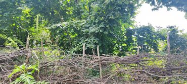 Torpaq sahələrinin satışı: Tikinti — 10