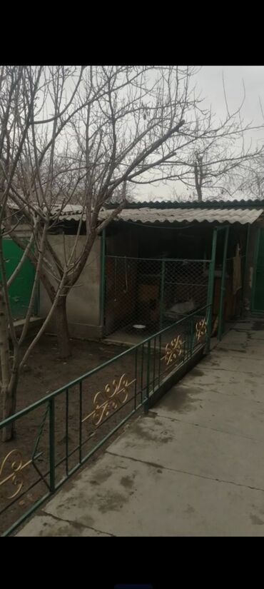 аренда для фасфуд: 58 м², 3 комнаты, Парковка, Забор, огорожен