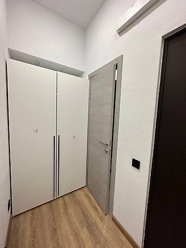 studio apartment: Студия, Политех Без животных, С мебелью частично — 5