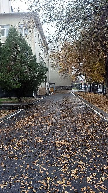 Асфальтирование: Укладка асфальта, любой сложности - Устройство асфальтобетонных — 5